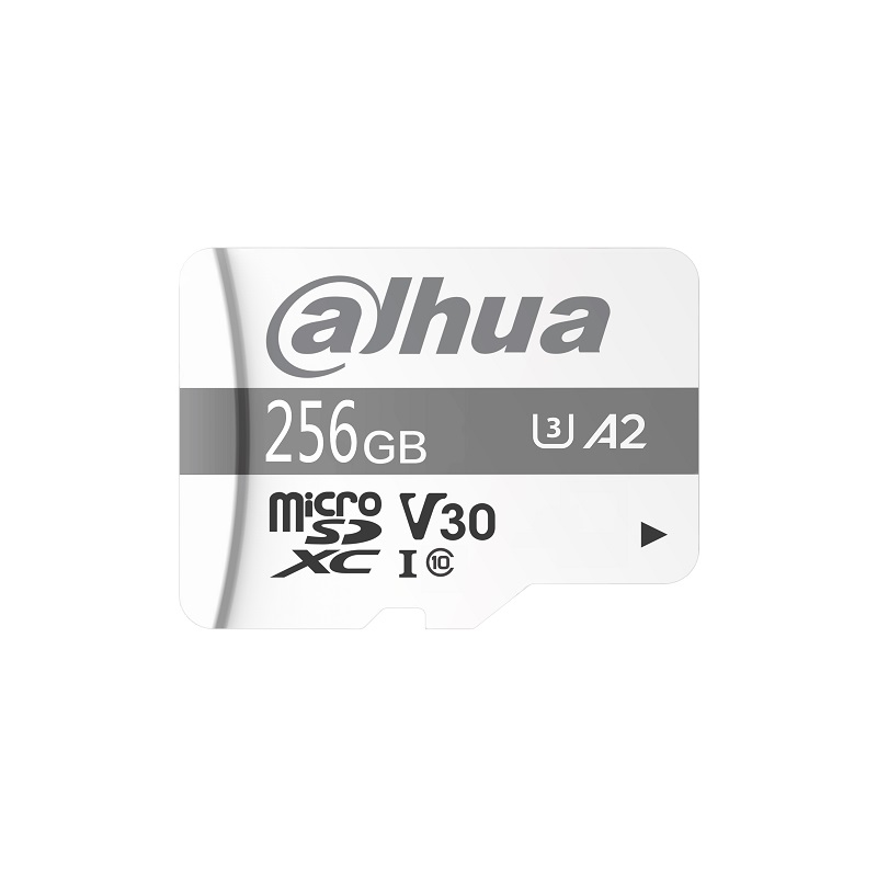 Dahua - TF-P100/256GB - Micro SD Card da 256 GB