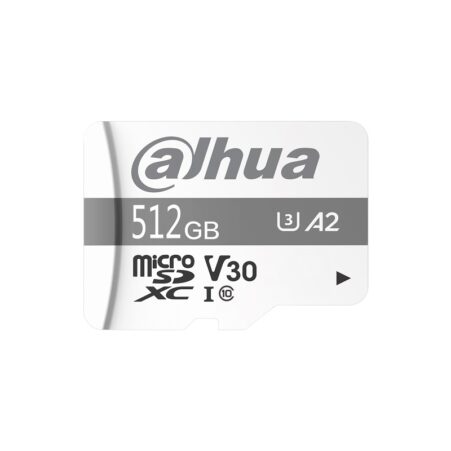 Dahua - TF-P100/256GB - Micro SD Card da 256 GB (Copia)